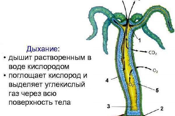 Кракен даркнет kraken014 com