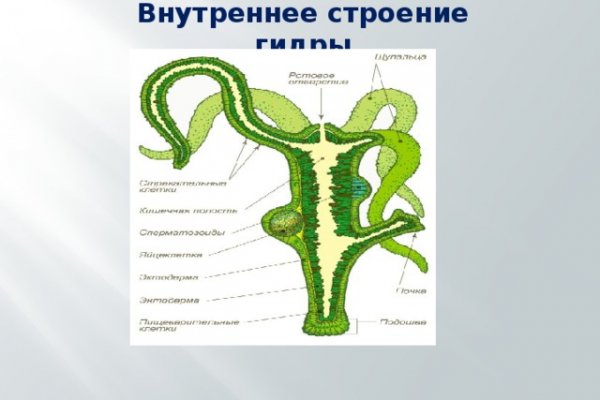 Кракен даркнет маркет плейс