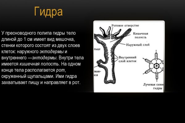 Кракен это современный даркнет